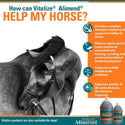 Vitalize Alimend Stomach Comfort Gastric Support for Horses (64 oz)