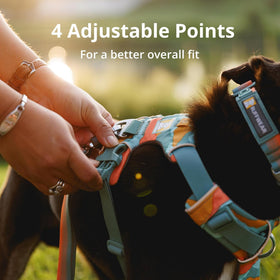 Ruffwear Front Range Dog Harness- Blue Pool