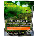 Galapagos Sheet Moss Decorative Sheet of Real Moss for Tropical & Forest Tanks