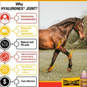 Vitalize Hyaluronex Joint Support Liquid Support for Horses (64 oz)