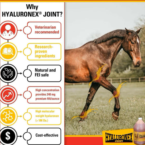 Vitalize Hyaluronex Joint Support Liquid Support for Horses (64 oz)