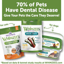 Whimzees by Wellness Natural Chicken & Tuna Dental Cat Treats