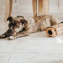 Zippy Paws Burrow Chipmunks 'n Log - Interactive Log Toy For Dog