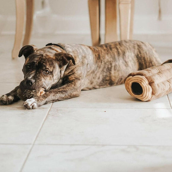 Zippy Paws Burrow Chipmunks 'n Log - Interactive Log Toy For Dog