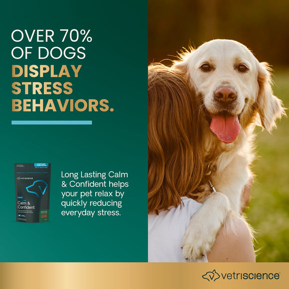 Long Lasting Calm & Confident Chews for Dogs