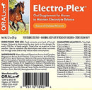 Electro-Plex Oral Electrolyte Paste for Horses (34 gm)