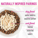 Tiki Cat Aloha Friends Tuna Shrimp Pumpkin Grain-Free Wet Food For Cats (3 oz x 12 cans)