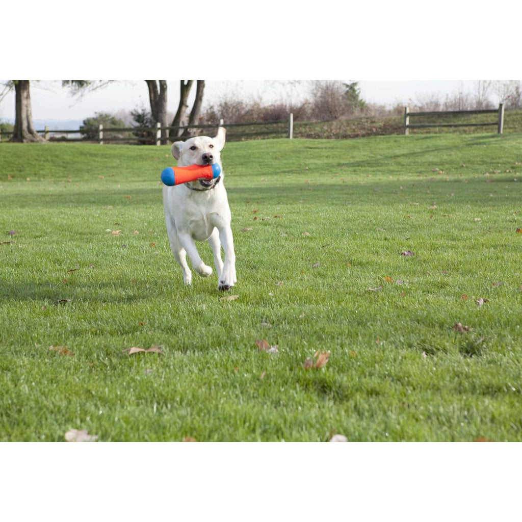 Chuckit! Tumble Bumper Toy For Dogs- Medium