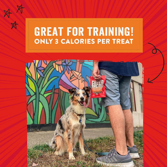 Stella & Chewy's Crav'n Bac'n Bites Bacon & Beef Recipe Dog Treats (8.25 oz)