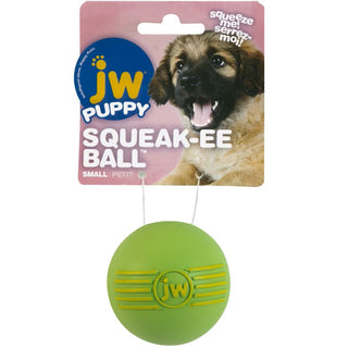 JW Pet iSqueak Ball Toy For Dogs- Assorted colors