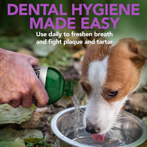 natural dog dental water additive makes dental hygiene easy