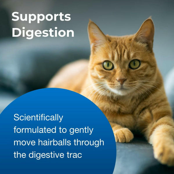 hairball control gel for cats also supports digestion