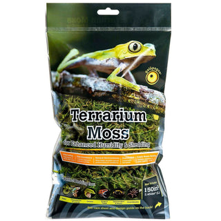 Galapagos 5- Star Premium Terrarium Sphagnum Moss for Enhanced Humidity- Fresh Green