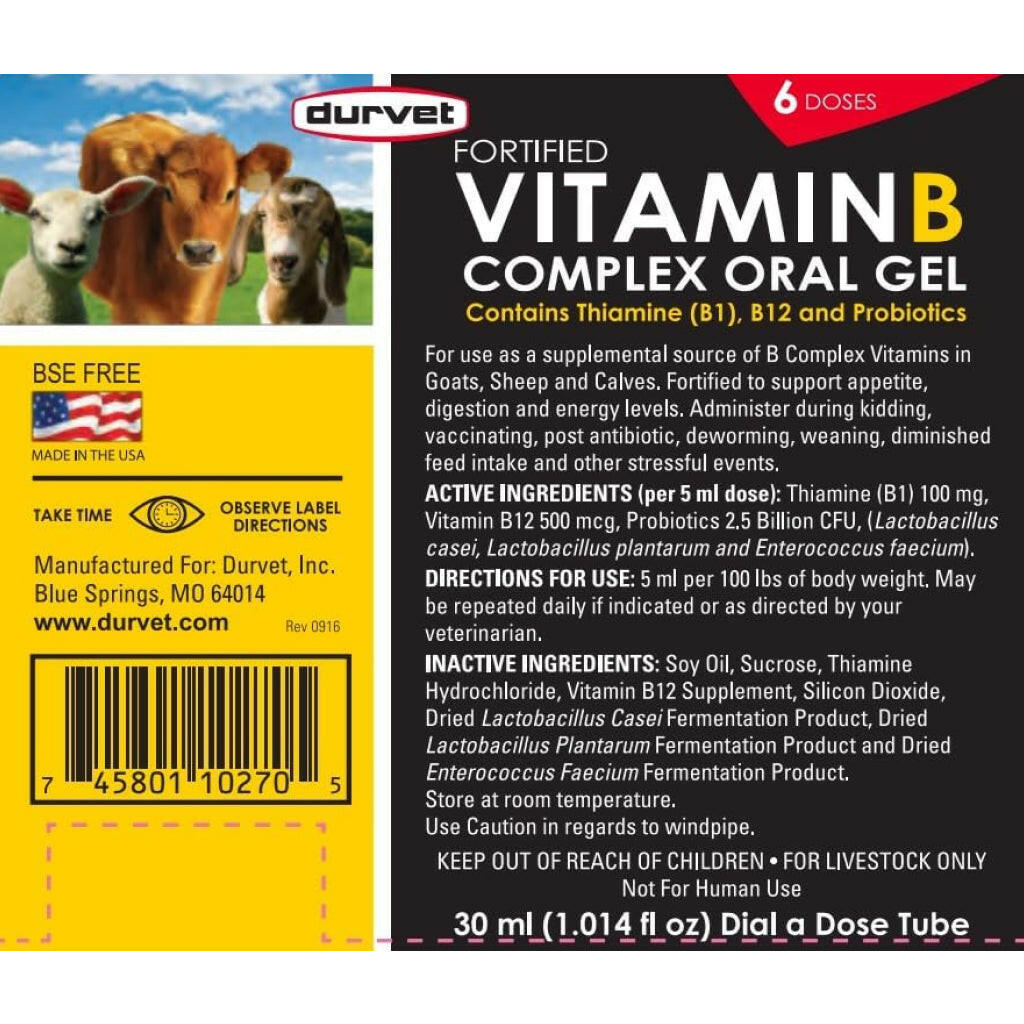 fortified vitamin b complex oral gel