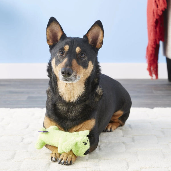 Multipet Loofa Dog The Original Squeaky Plush Toy For Dogs (color varies)