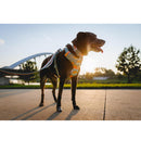 Ruffwear Front Range Dog Collar- Basalt Gray Neck Collar