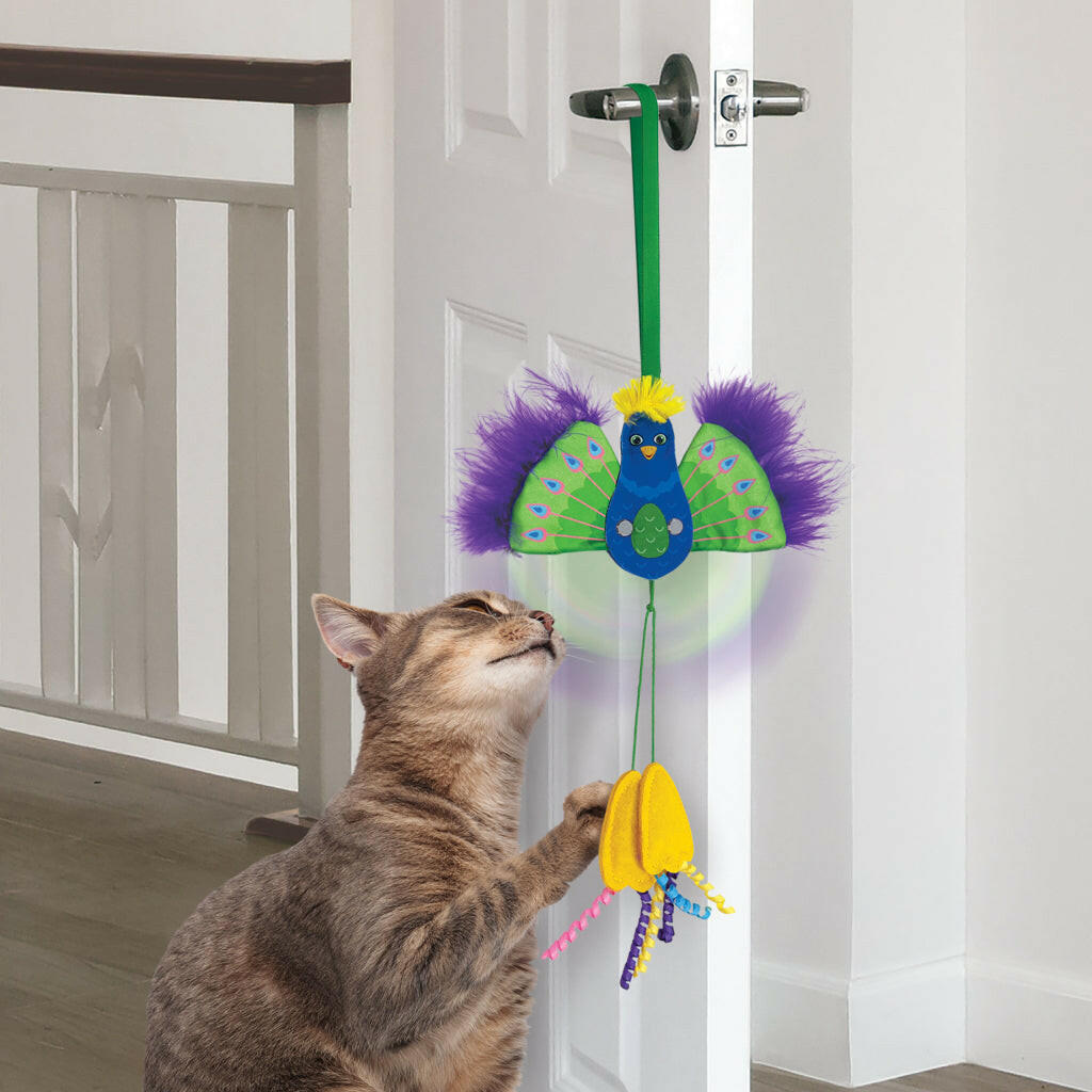 Kong Connects Peacock Toy for Cats