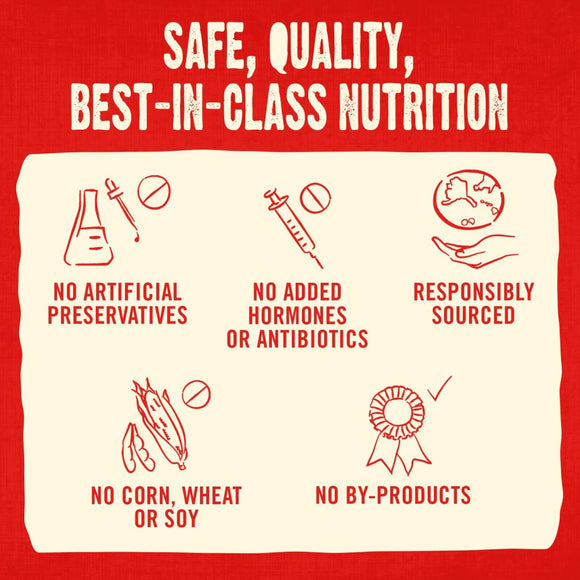 Stella & Chewy's Raw Coated Biscuits Cage-Free Duck Recipe Crunchy Dog Treats (9 oz)