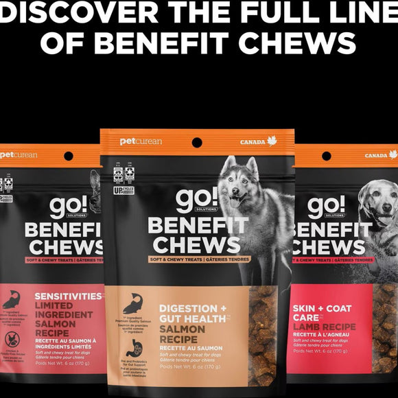 Go! Solutions Benefit Chews Sensitivies Limited Ingredient Salmon Recipe Soft & Chewy Treats for Dogs (6 oz)