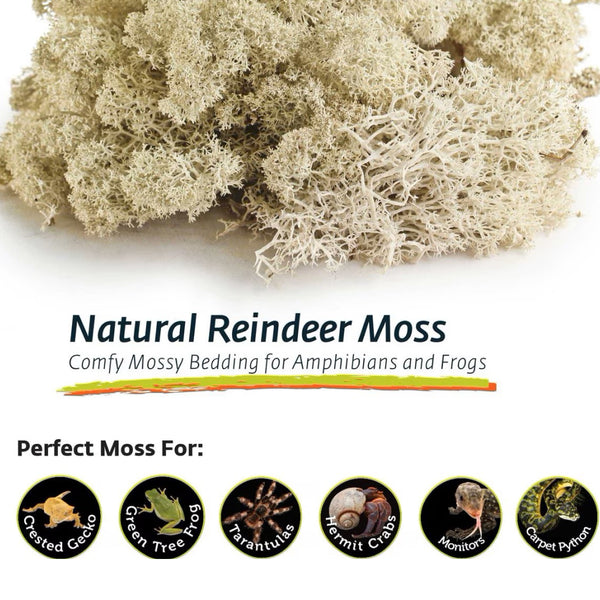 Galapagos Natural Reindeer Moss Bedding Substrate For Reptiles & Amphibians (150 cubic in)