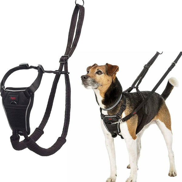 The Company of Animals Halti No Pull Harness For Dogs (Small)