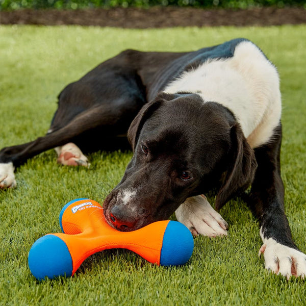 Chuckit! Tri-Bumper Toy For Dogs- Medium