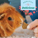 Oxbow Simple Rewards - Baked Small Animal Treats with Cranberry (3 oz)