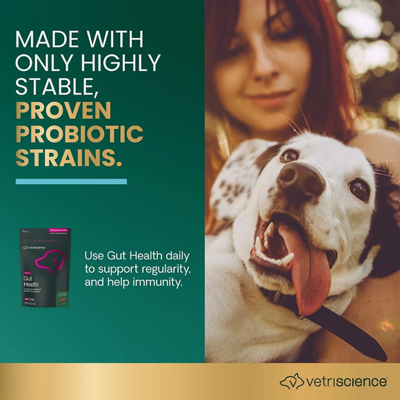 Gut Health Chews for Dogs