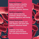 Nulo Functional Probiotic Soft Chew Supplements for Dogs (90 chews)