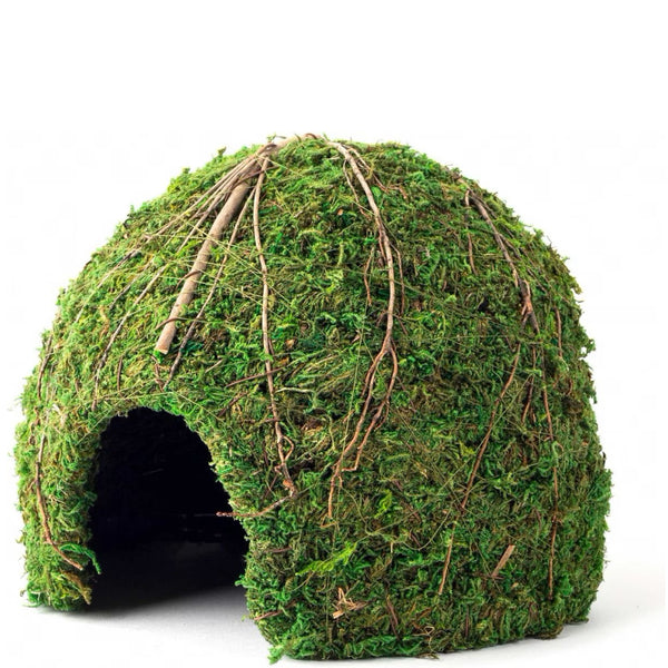 Galapagos Mossy Dome Terrarium Hideaway For Reptiles & Amphibians