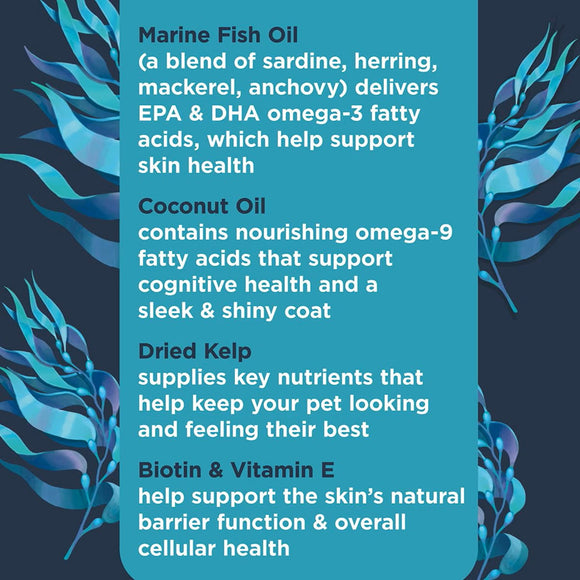 Nulo Superfood Omega Soft Chew Supplements for Dogs (90 chews)