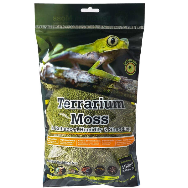 Galapagos Royal Pillow Moss for all Repitiles and Amphibians