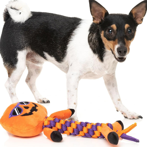 Fuzzyard Gourdan Ramsay with Pumpkin Toy For Dogs