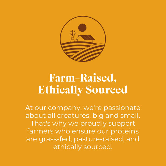 OTIS Wild Things Venison Lung Filets Treats for Dogs (4 oz)