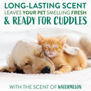 TropiClean Watermelon Waterless Shampoo for Dogs & Cats (7.4 oz)