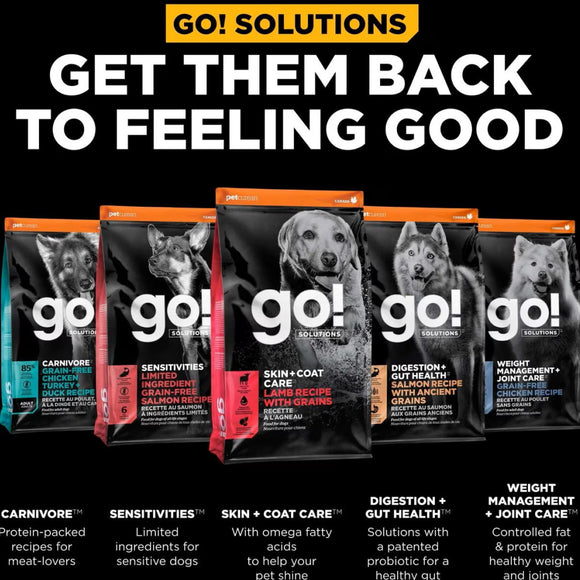 Go! Solutions Benefit Chews Skin + Coat Care Lamb Recipe Soft & Chewy Treats for Dogs (6 oz)