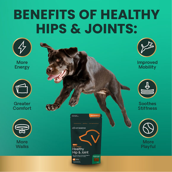 Extra Strength Healthy Hip & Joint Chews for Dogs Chicken Flavor