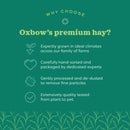 Oxbow Animal Health Western Timothy Hay