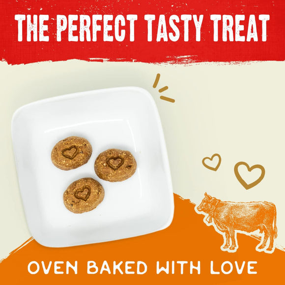 Stella & Chewy's Raw Coated Biscuits Grass-Fed Beef Recipe Crunchy Dog Treats (9 oz)