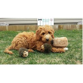 Zippy Paws Burrow Interactive Squeaky Hedgehog Den Toy For Dogs