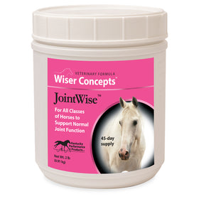 Wiser Concepts JointWise Joint Support for Horses