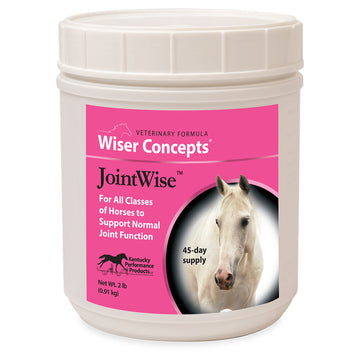 Wiser Concepts JointWise Joint Support for Horses