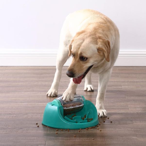 Outward Hound Nina Ottosson Spin N' Eat Food Puzzle Feeder For Dogs