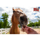 Stud Muffins Slims 50% Less Sugar Horse Treats