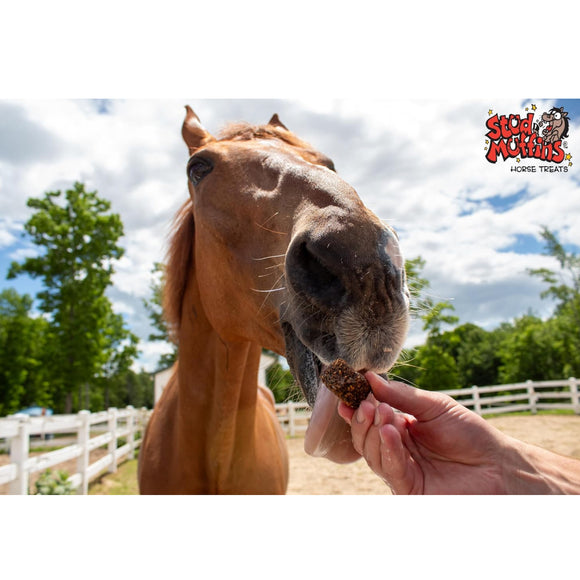 Stud Muffins Slims 50% Less Sugar Horse Treats