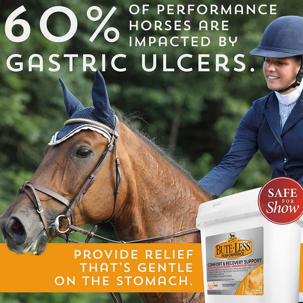 Absorbine Bute-Less Performance Supports Healthy Inflammatory Pellets For Horses (3.7 lbs)