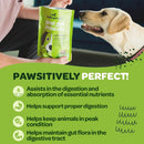 Ready Pet Go Good Gut Probiotic Support for Dogs (60 soft chews)