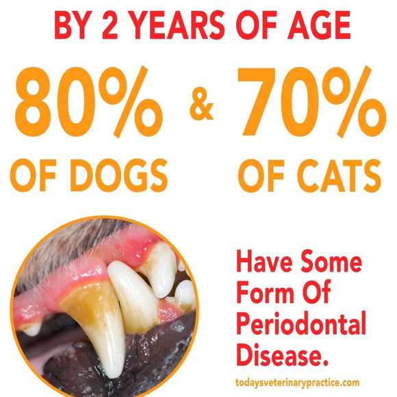 SENTRY Petrodex Toothpaste Dog Peanut Flavor (2.5oz)