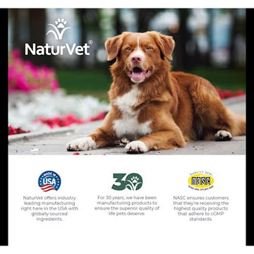 NaturVet Senior Daily Care Multi-Benefit Soft Chew 8-in-1 Support For Dogs -60 Soft Chews