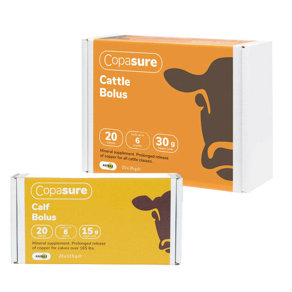 Copasure Copper Oxide Supplement for Cattle 30gm (20 boluses)